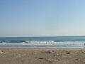 PB230391.jpg