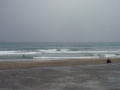 PB290397.jpg