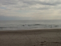 PC270311.jpg