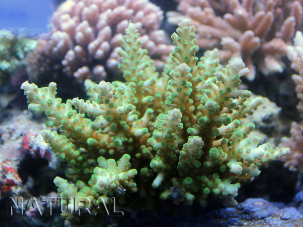 2013_1210_11.jpg