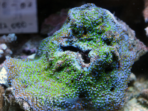 2013_1210_4.jpg