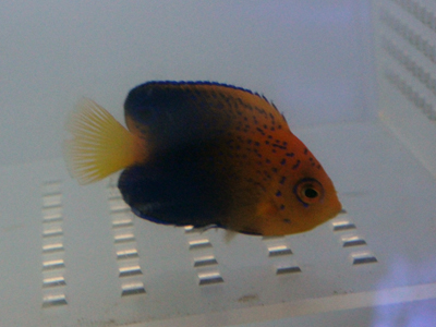 251226_06.jpg