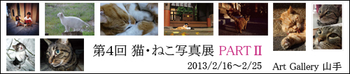 第４回猫・ねこ写真展バナー（横長）_500x106_20130202