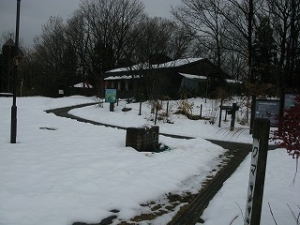 IMG_1254.jpg
