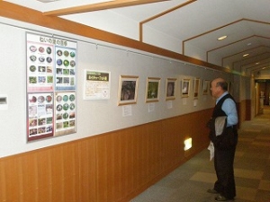 PC220733.jpg