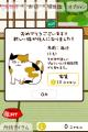 20120222_noy.jpg