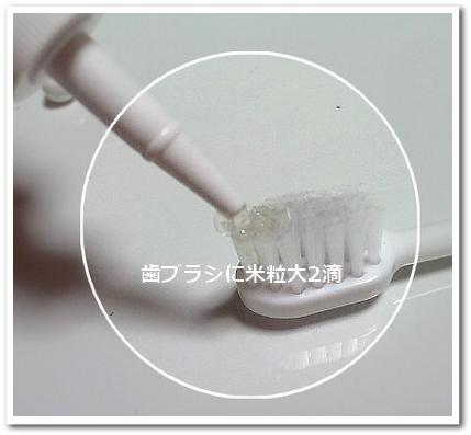 歯ブラシに米粒大2滴