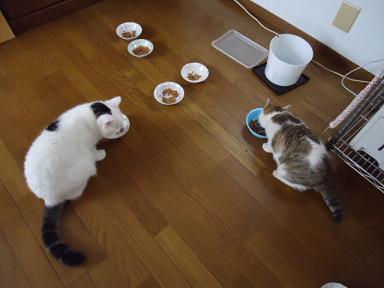 テンテンと一緒
