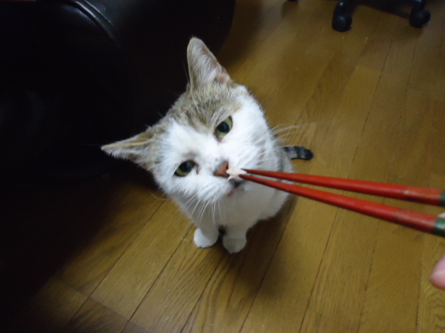 DSC05249.jpg