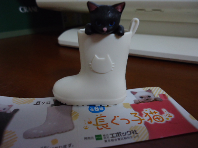 DSC05255.jpg