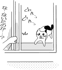 neko-20110914-2.gif