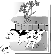 neko-20111116-2.gif
