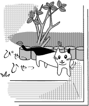 neko-20111116-3.gif