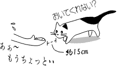neko-20111116-4.gif