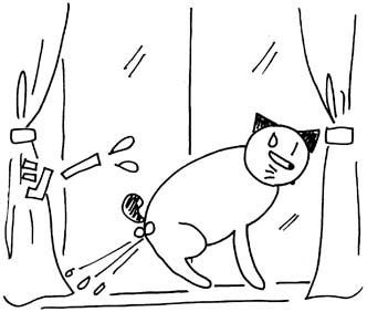 猫のニャン太郎