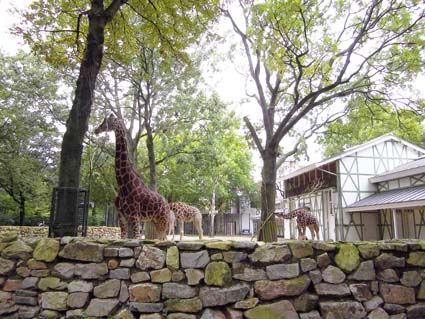 猫動物園