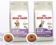 201311065.jpg