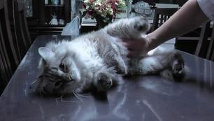 201312047.jpg