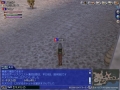 2013121602.jpg