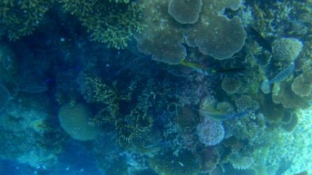 2013-09-14 12-00-48DSC-TX30