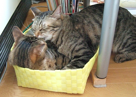 130505_3.jpg