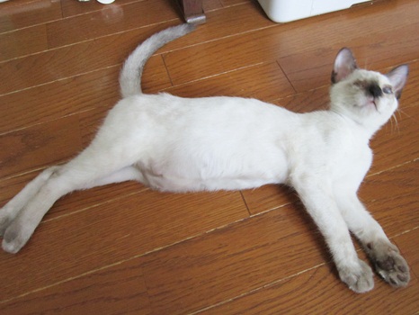 110912にこにこ