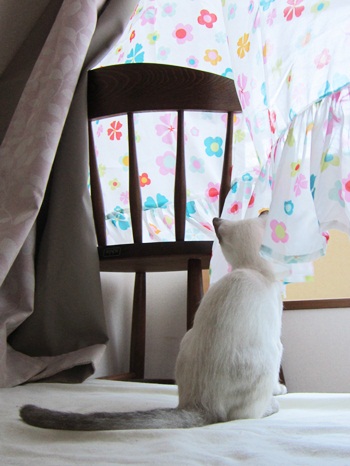 たそがれにこ