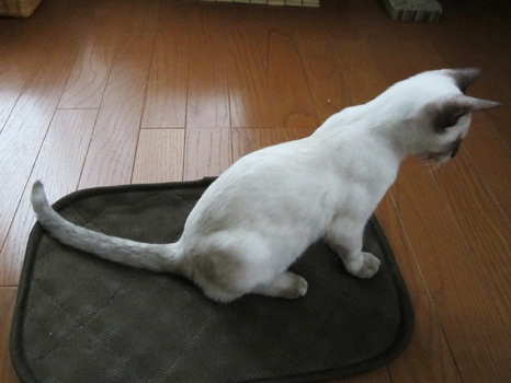 ヌクさを感じ取って
