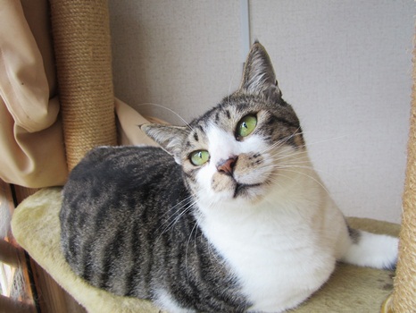こもり