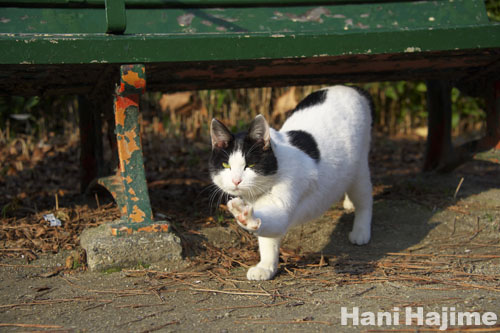 130124-1.jpg
