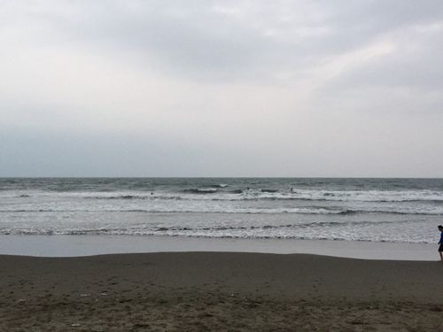 14100331.jpg