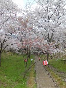 CIMG1450_20120404181651.jpg