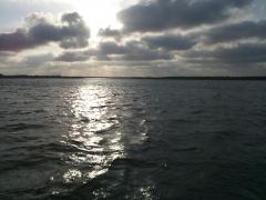 DSC_0145.jpg