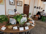 PB230733.jpg