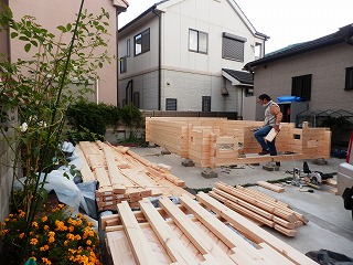 PB230735.jpg