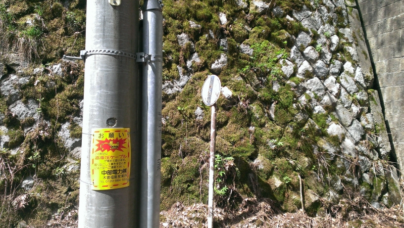 IMAG0645.jpg