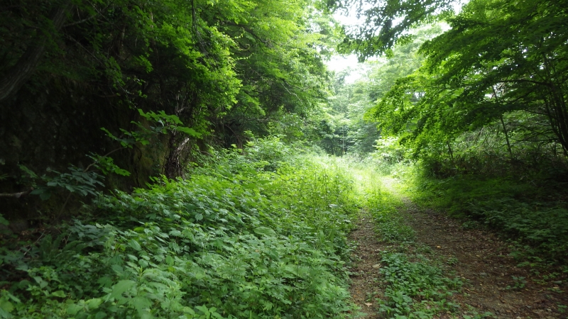 RIMG0509.jpg