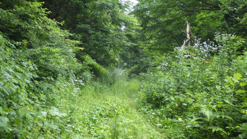 RIMG0510.jpg