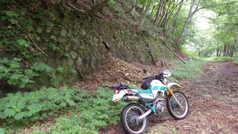 RIMG0532.jpg
