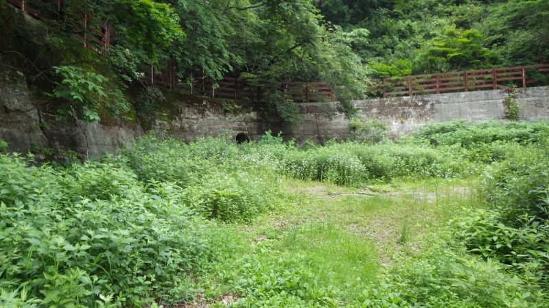 RIMG0539.jpg