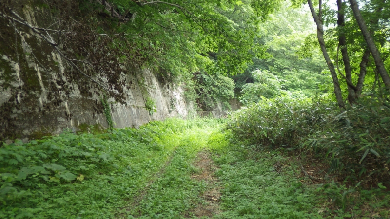 RIMG0543.jpg