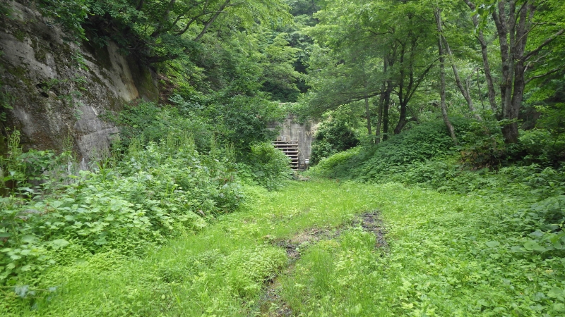 RIMG0545.jpg