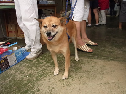 卒業犬110911-05