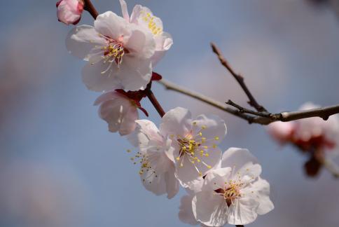 DSC_1276sss.jpg
