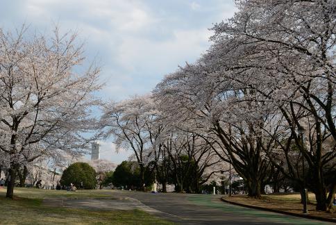 DSC_1562sss.jpg