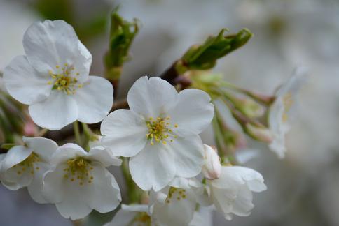 DSC_1573sss.jpg