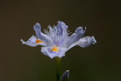 DSC_2566sss.jpg