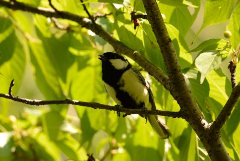 DSC_2944sss.jpg