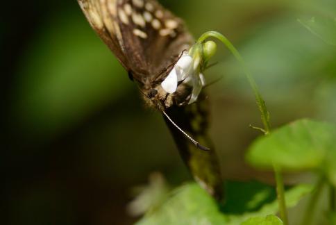 DSC_2953sss.jpg