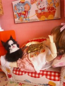 ○●塩素とキャラメル味○●-090726_1309~01.jpg